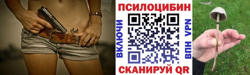 Псилоцибиновые грибы Cubensis  Таруса 